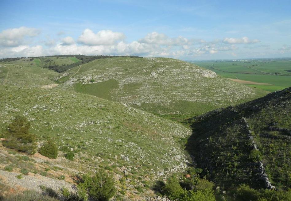אלטאמורה Il Borgo Antico B&B מראה חיצוני תמונה